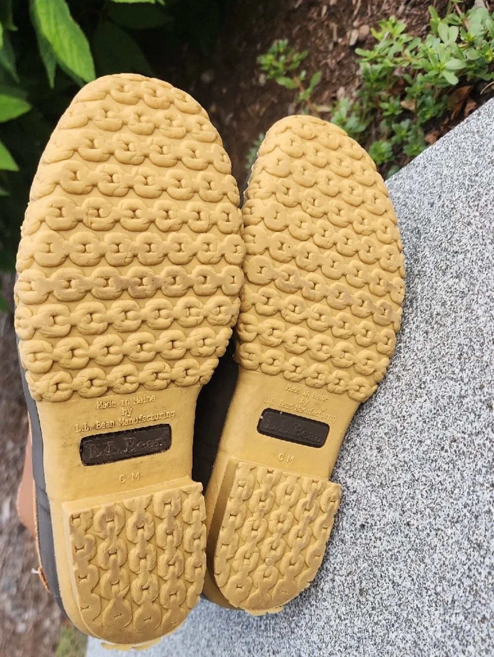 LL Bean 6